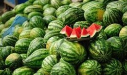 潜规则全书 热门大瓜每日必吃大瓜,揭秘热门大瓜，每日必吃大瓜盘点